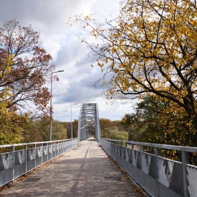 Перильное ограждение для пешеходного моста через реку Сож